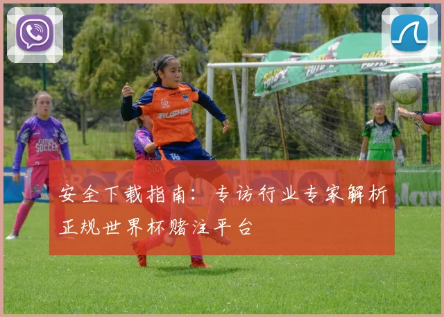 安全下载指南：专访行业专家解析正规世界杯赌注平台