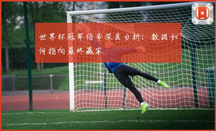 世界杯冠军倍率深度分析：数据如何指向最终赢家