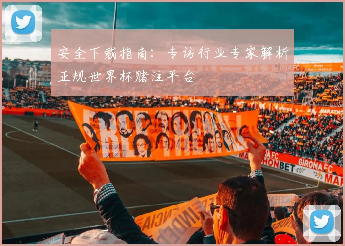 安全下载指南：专访行业专家解析正规世界杯赌注平台