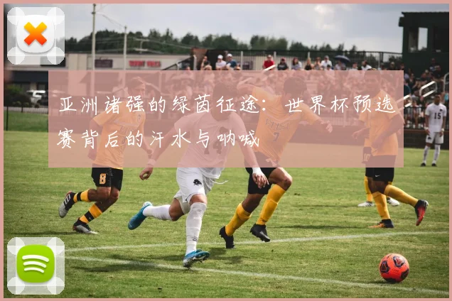 亚洲诸强的绿茵征途：世界杯预选赛背后的汗水与呐喊