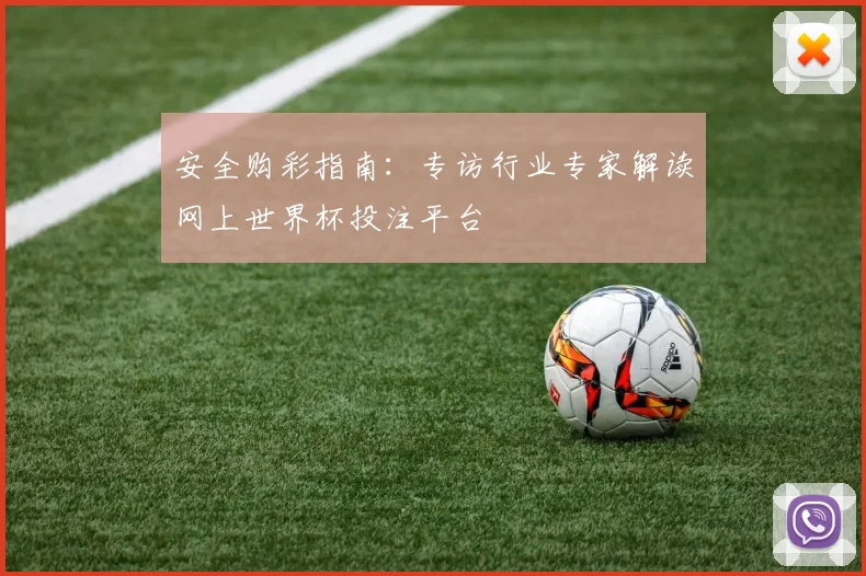 安全购彩指南：专访行业专家解读网上世界杯投注平台