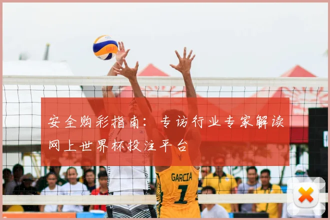 安全购彩指南：专访行业专家解读网上世界杯投注平台