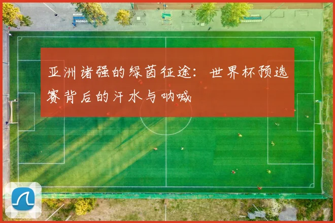 亚洲诸强的绿茵征途：世界杯预选赛背后的汗水与呐喊