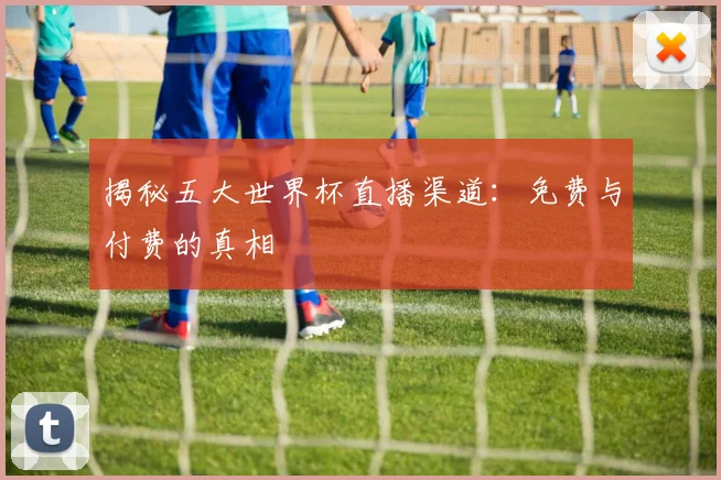 揭秘五大世界杯直播渠道：免费与付费的真相