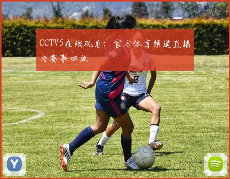 CCTV5在线观看：官方体育频道直播与赛事回放