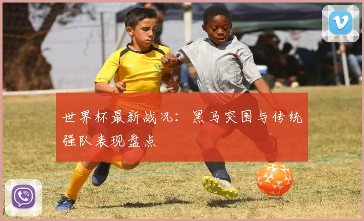 世界杯最新战况：黑马突围与传统强队表现盘点