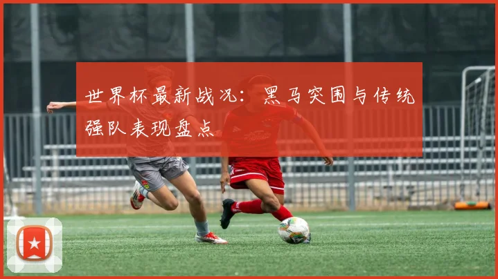 世界杯最新战况：黑马突围与传统强队表现盘点